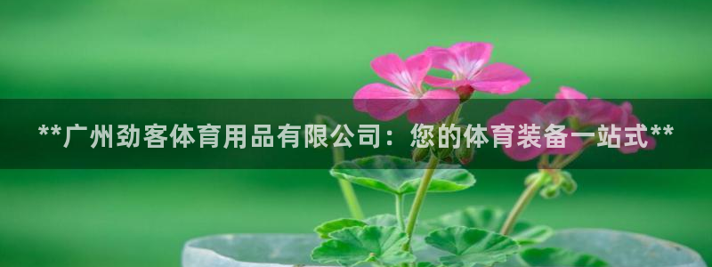 欧陆娱乐注册芯7o777ts=0：**广州劲客体育用