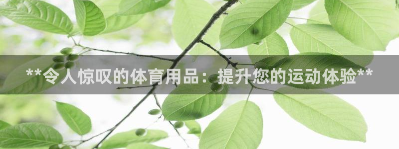 欧陆娱乐官网注册中心：**令人惊叹的体育用品：提升您