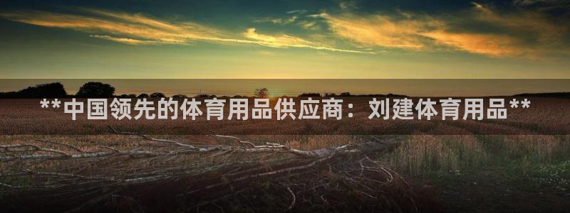 欧陆娱乐平台咋样啊赚钱:**中国领先的体育用品供应商:刘建体