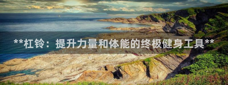 欧陆娱乐太阳:**杠铃:提升力量和体能的终极健身工具**