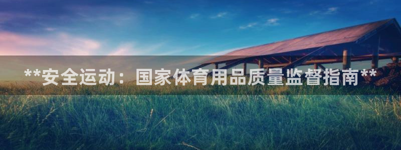 欧陆娱乐测试网站:**安全运动:国家体育用品质量监督指南**